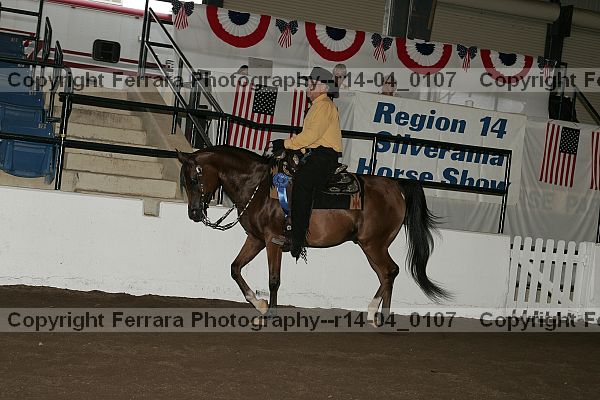Proof Number r14-04_0107